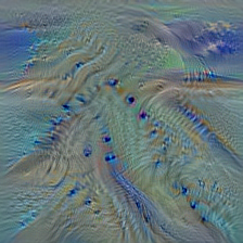 n09421951